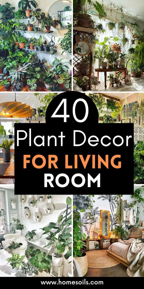 Discover 40 inspiring plant decor ideas for living room corners and walls to bring greenery into your space. Explore creative displays, stylish planters, and unique arrangements perfect for enhancing your living room with a touch of nature. Transform your space with these refreshing plant ideas. Plants On High Shelves, Plant Area Ideas, Boho Plants Living Room, Ways To Display Indoor Plants, Small Living Room Decor With Plants, Plants Around Door Frame, Inside Plant Decor Ideas, House Plants Indoor Decor Ideas, Eclectic Decor With Plants