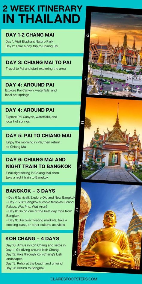 Explore Thailand in 14 days with this itinerary covering major attractions from Chiang Mai’s temples to Bangkok’s vibrant nightlife and Koh Chang’s relaxing beaches. Thailand Itinerary 2 Weeks, 2 Weeks In Thailand, Thailand Bucket List, Thailand History, Elephant Nature Park, Thai Islands, Thailand Itinerary, Thailand Vacation, Wild Jungle