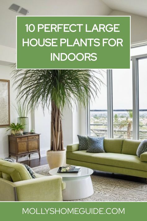 Explore a selection of the best large indoor house plants perfect for living rooms or small spaces. Discover beautiful and vibrant Large Leaf Philodendron varieties, elegant Monstera Deliciosa, and hardy Snake plants. Whether you're looking for low-light indoor plants or low-maintenance options, these large houseplants are sure to add greenery to your home effortlessly. Ideal for those seeking to bring nature indoors without compromising style or space. Large Monstera Plant In Living Room, Big Plants Indoor Living Rooms, Indoor Plants Styling Living Rooms, Large House Plants, Large Succulents, Large Houseplants, Philodendron Varieties, Big Indoor Plants, Plants For Indoors