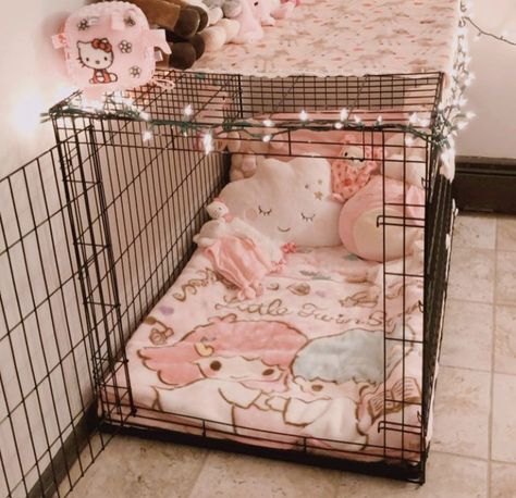 Pet Play Dog Cage, Pet Set Up, Puppy Space Aesthetic, Puppy Space Ideas, Petspace Aesthetic, Little Home Ideas, Petregre Puppy, Puppy Play Aesthetic, Pet Reggresion