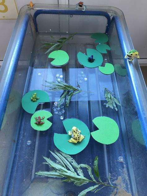 Rainforest Math Preschool, Water Area Eyfs Indoor, Eyfs Water Play, Frog Tuff Tray, Jungle Eyfs Activities, Water Tray Eyfs, Oi Frog Activities Eyfs, Frogs Eyfs, Water Play Eyfs