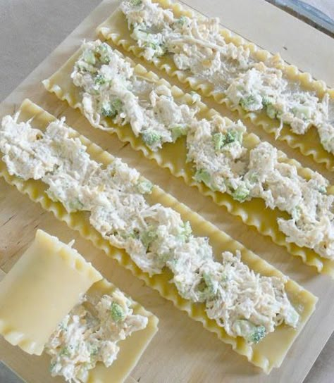 Chicken Alfredo Lasagna Roll-ups - perfect for dinner tonight or freezer safe for another meal! Lasagne Roll Ups, Spinach Lasagna Rolls, Chicken Alfredo Lasagna, Lasagna Roll Ups, Alfredo Lasagna, Lasagna Roll, Lasagna Rollups, Chicken Lasagna, Lasagna Rolls