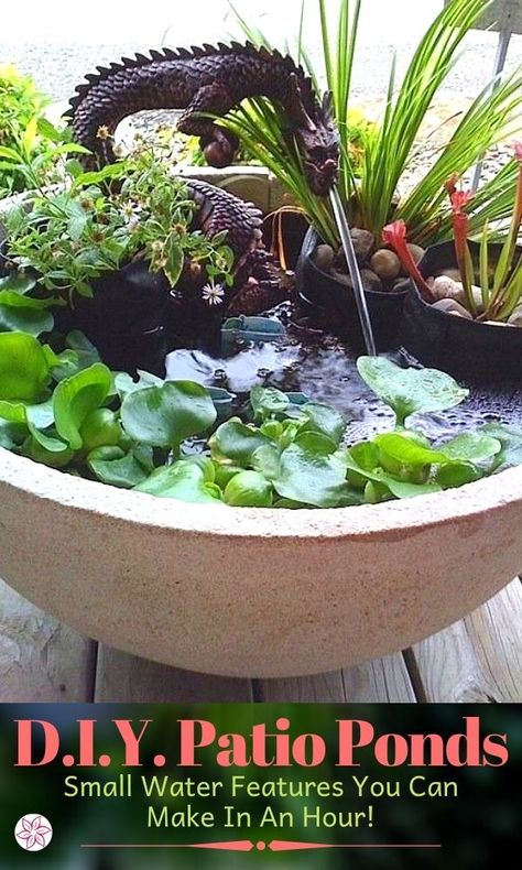 The most popular choices today are half-whiskey barrels, galvanized tubs, glazed ceramics, stone troughs, and low-profile weathered steel bowls. The container you choose will usually depend on the style of water feature you desire. Let’s look at some inspiring examples... #ContainerWaterGardens #WaterFeature #SmallSpaceGardening #MiniWaterGarden Container Pond, Container Water Gardens, Patio Pond, Indoor Water Garden, Small Water Features, Water Features In The Garden, Garden Yard Ideas, Flowers Wallpaper, Diy Patio