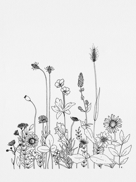 Wildflowers Framed Art Print by WildBloom Art - Vector Black - MEDIUM (Gallery)-20x26 Wildflower Drawing, Flower Line Drawings, Flower Sketches, Floral Drawing, Pola Sulam, 자수 디자인, Flower Doodles, Line Art Drawings, Grasses