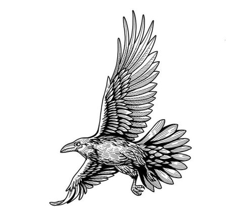 Raven Drawing Simple, Raven Line Art, Crow Flying, Human Things, Engraving Tattoo, Crow Tattoo, Raven Tattoo, Raven Art, Crows Ravens