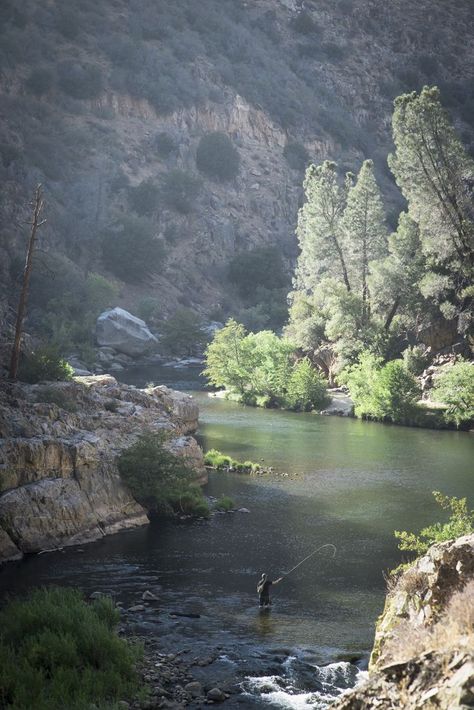 Fly fishing on the Kern River near Kernville, California. Golden Trout, Kern River, Colorado River Rafting, Fly Fishing Photography, Fly Fishing Colorado, Fishing Photography, Colorado Winter, Mammoth Lakes, Sierra Nevada Mountains