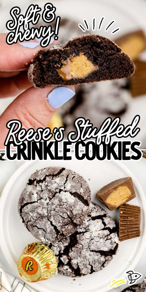 Indulge in the perfect blend of cocoa, peanut butter, and a hidden peanut butter cup surprise with our delectable Reese's crinkle cookies. Reese Crinkle Cookies, Reese’s Crinkle Cookies, Reeses Crinkle Cookies, Chocolate Peanut Butter Crinkle Cookies, Hidden Treasure Cookies, Resses Peanut Butter Cup Cookies, Reese’s Cookies, Reese Cookies, Reese Recipes