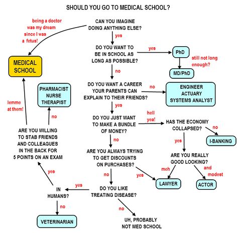 A Cartoon Guide to Becoming a Doctor: Should you go to med school? How To Become A Doctor, Doctor Education, Medical Residency, Dr Room, Residency Medical, Become A Doctor, Mcat Study, Medical Specialties, School Cartoon