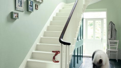 Shades of Green Hallways – Ideas | Dulux Green Paint Hallway Ideas, Hall Stairs And Landing Decor Colour, Dulux Willow Tree Bedrooms, Green Hallway Paint, Green Hallways, Dulux Willow Tree, Dulux Green Paint, Hallway And Stairs Ideas, Stair Cupboard