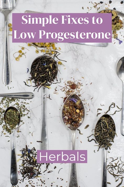 Do you have low progesterone? If so, don't worry! There are some easy fixes, including herbals. Herbals can help increase your progesterone production. Vitex (chasteberry) and red raspberry leaf are a few examples of herbals that can help with progesterone production. Want to learn about more simple fixes to low progesterone? Head over to our blog! Progesterone Foods, Increase Progesterone Naturally, Progesterone Deficiency, Increase Progesterone, Low Progesterone, Progesterone Cream, Creative Backyard, Healthy Period, Low Estrogen Symptoms