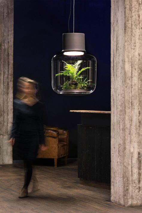 Lamp Mygdal, by Studio Nui. Photo © ErwinBlock Photography. Lamp Planters, Deco Luminaire, Kitchen Lighting Fixtures, Ceiling Light Fixture, Plant Lighting, Apartment Garden, The Ceiling, Home Maintenance, Cheap Home Decor