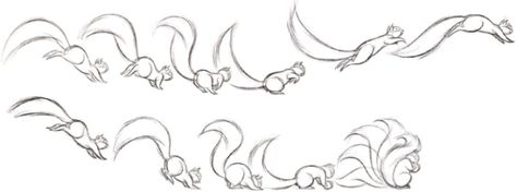 Squirrel run ( lots of great overlapping action) Squirrel Running Drawing, Animal Walk Cycle, Squirrel Running, Squirrel Character, Animation Cycle, 12 Principles Of Animation, Jump Animation, Animal Animation, Body Draw