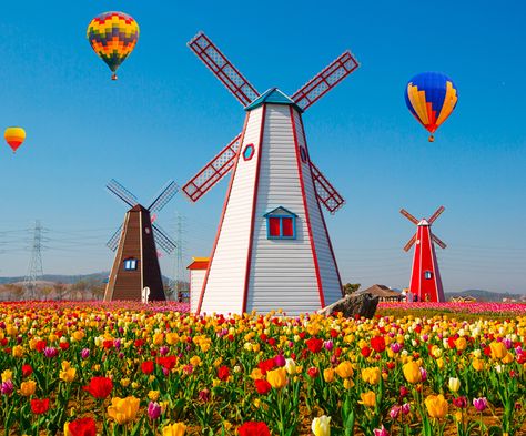 Windmill Images, Netherlands Travel, Hot Air Balloon Rides, Jigsaws, Banner Background Images, Autumn Painting, Nature Aesthetic, Photo Set, Pretty Places