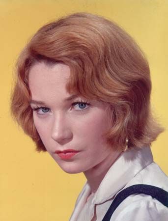 Shirley MacLaine headshot Shirley Mcclain, Shirley Jones, Shirley Maclaine, Maggie Smith, Actrices Hollywood, Best Actress, Hall Of Fame, Old Hollywood, American Actress