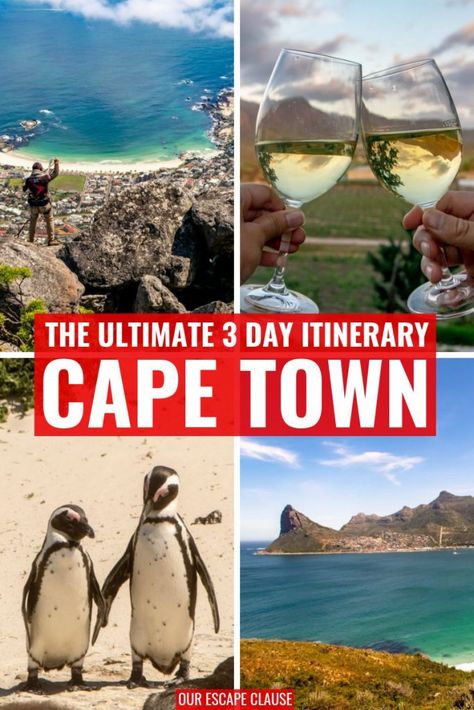 3 Day Cape Town Itinerary: The Complete Guide #capetown #southafrica #travel #travelsouthafrica #travelcapetown #penguins #bouldersbeach Cape Town Travel Guide, Cape Town Itinerary, South Africa Itinerary, South Africa Vacation, South Africa Travel Guide, Africa Itinerary, Cape Town Travel, Africa Vacation, Safari Vacation