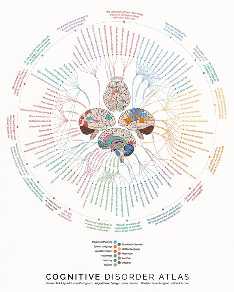 Brain Disorders, Brain Structure, Information Visualization, Brain Anatomy, Cognitive Bias, Medical Anatomy, Medical Knowledge, Med School, Anatomy And Physiology