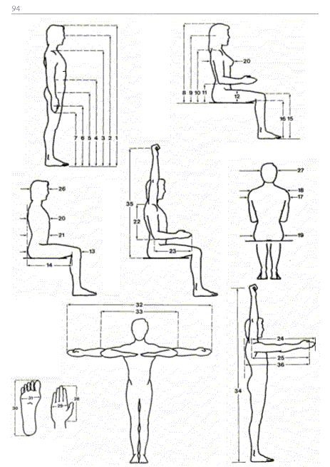 Anthropometrics And Ergonomics, Anthropometry Human, Interior Design Kitchen Contemporary, Human Dimension, Human Scale, Architecture Foundation, Harmony Art, Shelter Design, Modern House Exterior Design