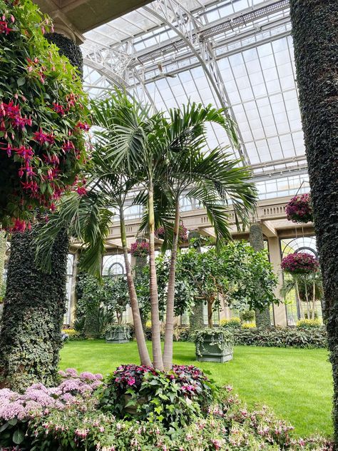 Italian Water, Wisteria Garden, East Coast Travel, Topiary Garden, Longwood Gardens, Small Lake, Citrus Trees, Colorful Plants, Garden Fountains