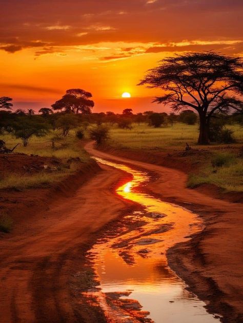 African Scenery Landscapes, Africa Sunset Painting, African Lion Photography, African Sunset Tattoo, Savannah Grasslands, African Landscape Photography, African Savannah Landscape, Savannah Tattoo, African Landscape Painting