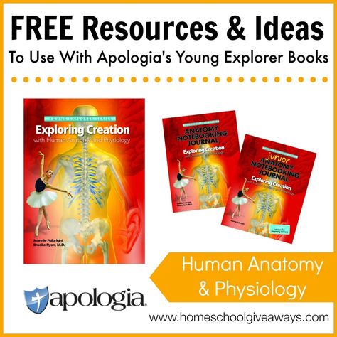 Free Resources and Ideas to Use with Apologia's Young Explorer Books - Human Anatomy and Physiology Anatomy And Physiology Book, Apologia Anatomy, Human Body Lesson, Human Body Printables, Dinner Menu Template, Free Human Body, Human Body Unit, Matter Science, Human Body Systems