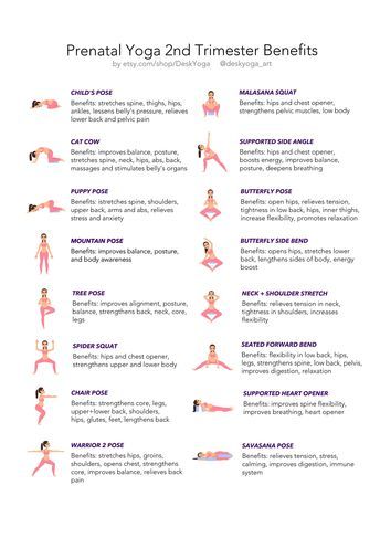 2nd Trimester Stretching, Stretches For Second Trimester, 2nd Trimester Yoga Ball Exercises, Good Stretches For Pregnant Women, Second Trimester Yoga Poses, 2nd Trimester Yoga Poses, Stretches To Do While Pregnant, Prenatal Yoga 2nd Trimester, Stretches For 2nd Trimester