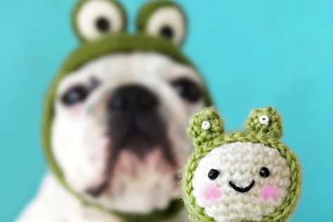 Crochet Ear Warmer Pattern, Frog Hat, Crochet Ear Warmer, Crochet Blog, A Frog, Dog Hat, Boston Terriers, Crochet Dog, Dog Coats