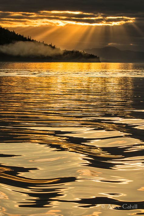 We had many gray and rainy days on our Alaska trip. But at the very end of one such day, the clouds opened just enough to allow golden sun rays to illuminate the water and the sky. I had both my cameras straped around my neck and alternated shooting between them for the few glorious moments of light. I think this is the best shot I took that evening. Sunset On Water, Alaska Trip, Golden Sun, Gold Aesthetic, Liquid Gold, Sun Rays, Beautiful Sunset, Rainy Days, Amazing Nature