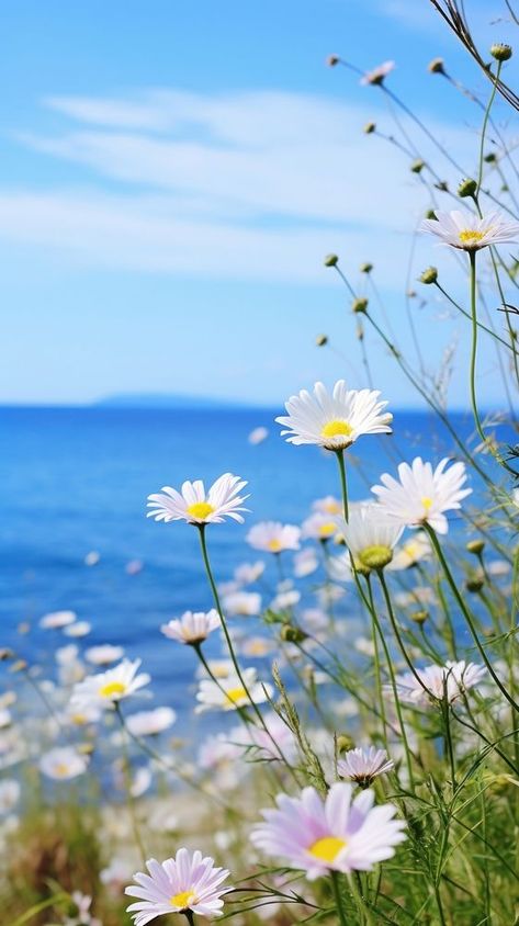 Summer landscape outdoors horizon. | premium image by rawpixel.com Summer Images Wallpaper, Summer Screen Savers, Summer Sky Wallpaper, Summer Season Images, Focus Iphone, Coastal Photos, Preppy Flowers, Spring Iphone Wallpaper, Sunrise On The Beach