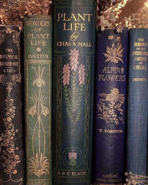 Book Rebinding, Book Spines, Alpine Flowers, Victorian Books, Spring Books, Library Aesthetic, Book Spine, Vintage Library, Vintage Book Covers