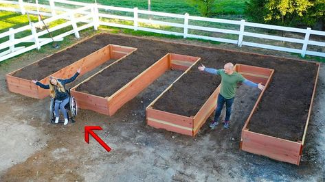 Wheelchair Accessible Garden, Diy Wheelchair, Accessible Garden, Raised Pond, Building Raised Garden Beds, Raised Flower Beds, Sensory Garden, School Garden, Wheelchair Accessible