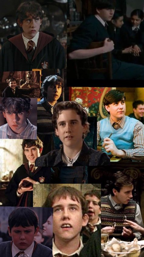 Neville Aesthetic, Neville Longbottom Aesthetic, Harry Potter Neville, Harry Potter Tiktoks, Matthew Lewis, Transition Goals, Current Obsession, Neville Longbottom, Slytherin Aesthetic