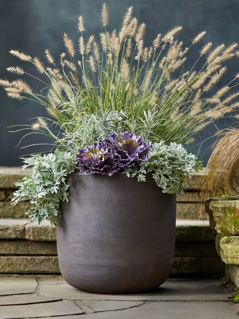 Go With the Flow: Grasses Bring Quiet Beauty To Fall Containers Front Porch Planters Fall, Autumn Pots Outdoor Uk, Autumn Planter Ideas Uk, Fall Planter Decorating Ideas, Fall Tall Planter Ideas, Grass Plants In Pots, Fall Pots Outdoor Planters, Grasses In Containers, Fall Containers Planters