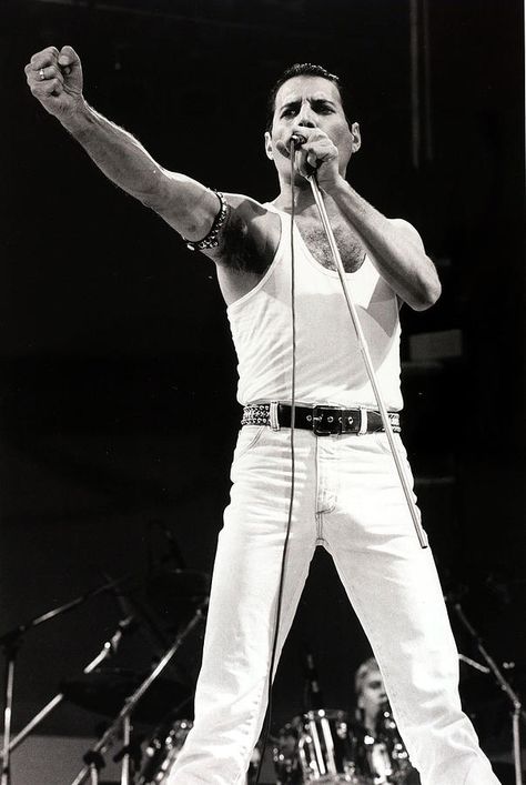 Queen Live Aid, Live Aid 1985, Queen Live, Mr Bad, Freddy My Love, Live Aid, Freddy Mercury, Sweet Lover, Queen Pictures