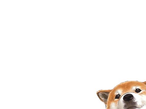 Corgi wallpaper Corgi Wallpaper Iphone, Corgi Wallpaper, Dog Wallpapers, Cute Dog Wallpaper, Laptop Wallpaper Desktop Wallpapers, Wolf Wallpaper, Mac Wallpaper, Wallpaper Ipad, Wallpaper Dekstop