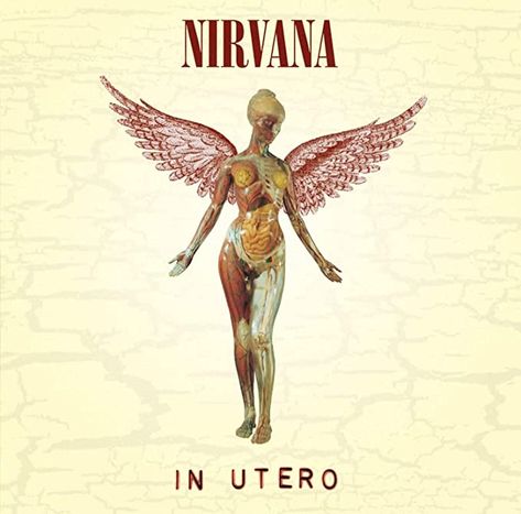 In Utero [VINYL]: Amazon.co.uk: CDs & Vinyl Nirvana Album Cover, Nirvana Album, Nirvana In Utero, Nirvana Poster, The Smashing Pumpkins, In Utero, Cool Album Covers, Stone Temple Pilots, Smells Like Teen Spirit