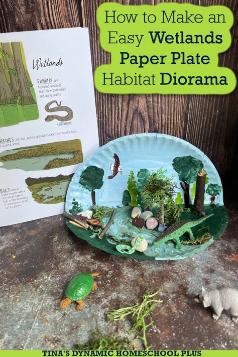 How to Make an Easy Wetlands Paper Plate Habitat Diorama. I have an easy wetlands paper plate habitat diorama. You'll also love my post Above & Below: Pond Unit Study, Hands-on Ideas, & Lapbook. Creating a paper plate habitat diorama is a great way to incorporate a project that is super inexpensive and less work. One thing I love about a diorama is that it can be done by everyone from preschool through high school and showcases each child's imagination. Habitat Activities For Third Graders, 3rd Grade Habitat Project, Paper Plate Habitat Diorama, Paper Plate Diorama, Frog Diorama, Wetland Diorama, Wetlands Diorama, Habitat Diorama Ideas For Kids, Habitat Diorama