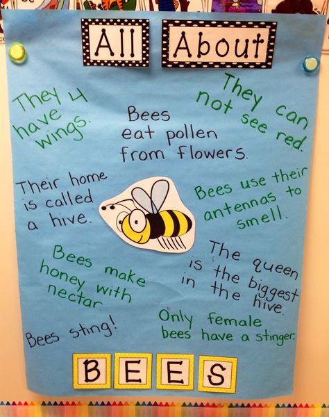 dinosaurs, insects, animal report Bee Lessons For Preschoolers, Teaching Insects In Kindergarten, Bee Investigation Kindergarten, Bee Activities For Preschool, 1st Grade Bee Activity, Insects Project, Bee Inquiry Kindergarten, Bee Inquiry, All About Bees