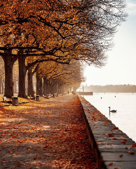 Soo hübsch der Maschsee im Herbst. #Hannover #Maschsee #Herbst Green City, English House, Germany Travel, Best Memories, Fall Colors, Photo Art, We Heart It, Vision Board, Country Roads