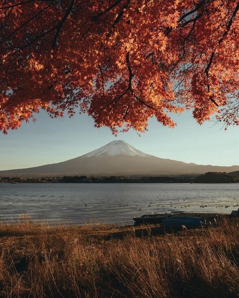 Autumn 🍁 Lake Kawaguchiko, Japan, Courtesy of @riki_s7_ #slowroads Lake Kawaguchiko, Fall Lake, Japan Autumn, Autumn Lake, Mt Fuji, Japan Tokyo, Tokyo Japan, Volcano, Vision Board