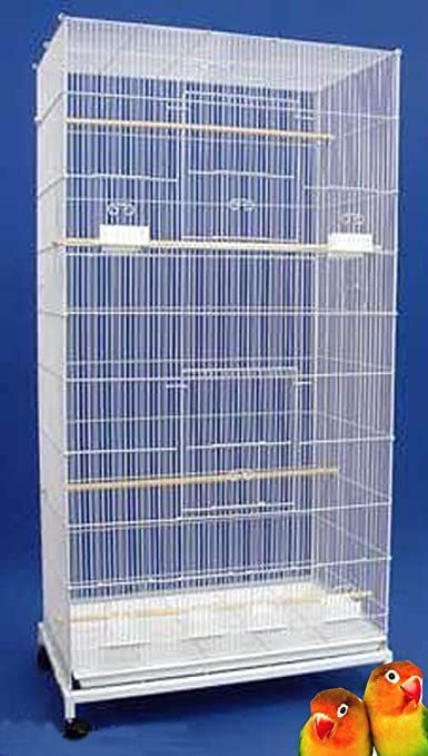 Amazon Birds, Flight Cage, Bird Cage Stand, Ferret Cage, Pet Bird Cage, Large Bird Cages, Finches Bird, Bird Aviary, Bird Stand