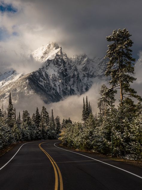 Park Portrait, Beautiful Roads, Open Road, Pine Trees, Photo Instagram, Landscape Photos, Wyoming, Beautiful World, Places To See