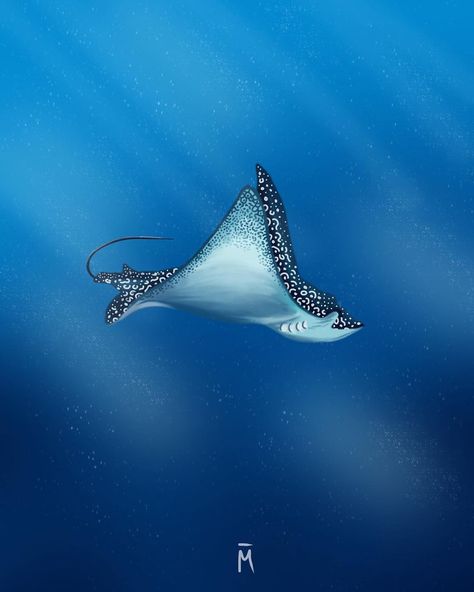 MON on Instagram: “Lil spotty flying through the abyss ❤️ . . . . #illustration #art #illustrator #artist #diving #scubadiving #freediving #stingray…” Spotted Eagle Ray Illustration, Manta Ray Painting Acrylic, Abyss Illustration, Stingray Illustration, Stingray Art, Ray Painting, Spotted Eagle Ray, Sea Drawing, Eagle Ray