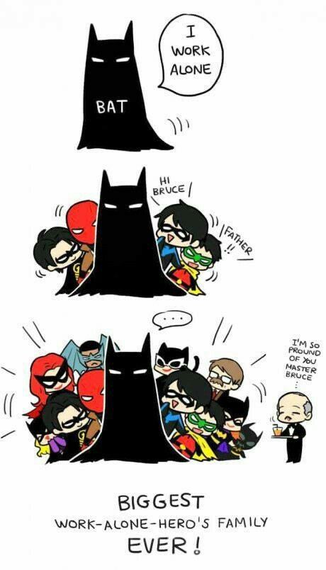 Univers Dc, Batman Funny, Dc Comics Artwork, Bd Comics, Im Batman, Dc Memes, Batman And Robin, Batman Family, Batman Robin