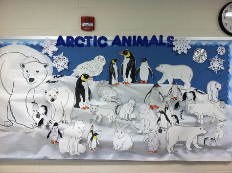 Arctic Animal Bulletin Board Arctic Animals Bulletin Board Ideas, Artic Animal Bulletin Board, Artic Bulletin Board Ideas, Antarctica Bulletin Board, Winter Animals Bulletin Board Ideas, Winter Animal Bulletin Board Ideas, Arctic Animals Bulletin Board, Arctic Bulletin Board Ideas, Artic Habitat