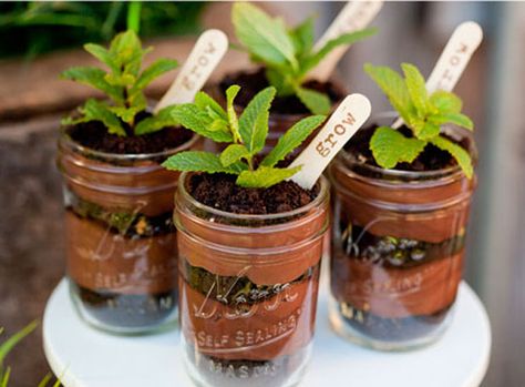 DIY Pudding Plant Parfait Edible Dirt, Dirt Dessert, Mason Jar Cakes, Chocolate Parfait, Dirt Pudding, Chocolate Pudding Recipes, Plant Party, Dirt Cake, Plantas Vs Zombies