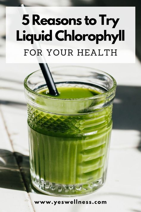 Discover the benefits of drinking chlorophyll water and learn how liquid chlorophyll can help you live a healthier life. Liquid Chlorophyll Benefits, Drinking Chlorophyll, Chlorophyll Benefits, Liquid Chlorophyll, Chlorophyll Water, Green Juice Smoothie, Immune Boosting Smoothie, Athletic Greens, Green Drink