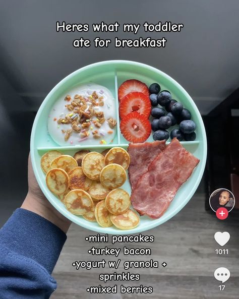 6 Month Old Food Ideas Meals, 16 Month Old Breakfast Ideas, Toddler Nutrition Guide, Food For 12 Month Old Meals, Meal Prep For Senior Citizens, Lunch For One Year Old, Recipes For Toddlers Picky Eaters, Preschool Breakfast Ideas, Infant Meal Ideas