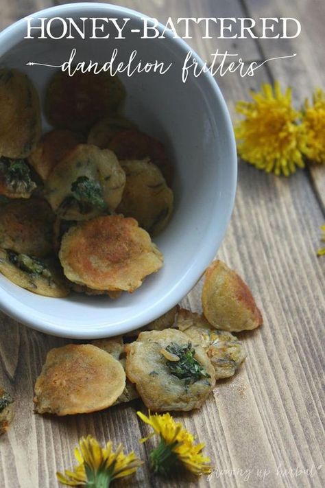 Honey-Battered Dandelion Fritters | Growing Up Herbal | Enjoy some of spring's goodness. Eat wild dandelion flowers in my version of this most famous recipe. Shtf Recipes, Dandelion Fritters, Mistletoe Decoration, Wild Food Foraging, Dandelion Flowers, Foraging Recipes, Fritters Recipe, Foraged Food, Herbal Recipes