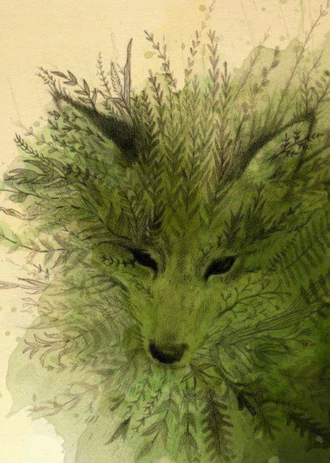 The Magic Faraway Tree, Faraway Tree, Art Fox, Arte Peculiar, Spirited Art, Fox Art, A Drawing, Amazing Art, Painting & Drawing