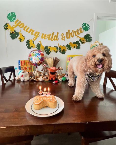 Happy 3rd Birthday to this baby! @banksyboo_thecavapoo Isn’t he the cutest?😍❤️ Best wishes on your day🎂 #puppycake #dogbirthdaycake #dogcake #dogbirthday #dogbirthdayparty #doglover #dogmom #cavapoodle #cavapoo_daily #cavapoopuppy #dogmom #dogdad #petcakes 3rd Dog Birthday, Dogs 3rd Birthday, Dog 3rd Birthday Party, Dog 3rd Birthday, Happy 3rd Birthday, Puppy Mom, Puppy Cake, Dog Birthday Cake, Cavapoo Puppies